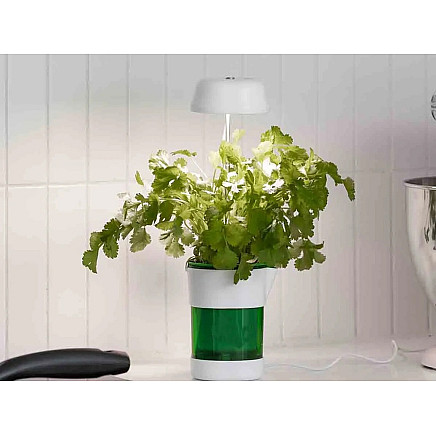 Plant growth panel lamp 6 led 4 uv self watering pot