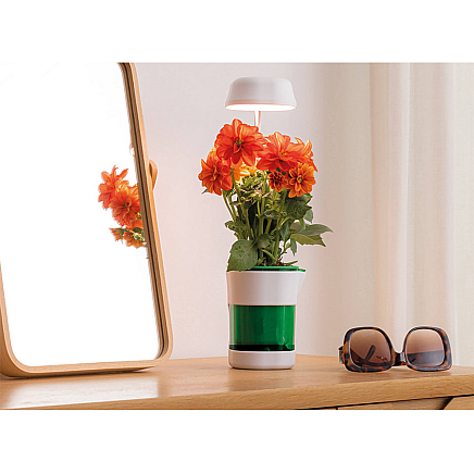 Plant growth panel lamp 6 led 4 uv self watering pot