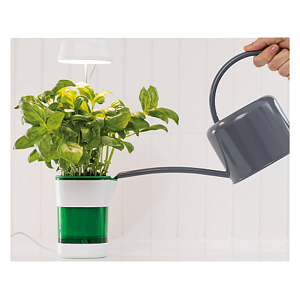 Plant growth panel lamp 6 led 4 uv self watering pot