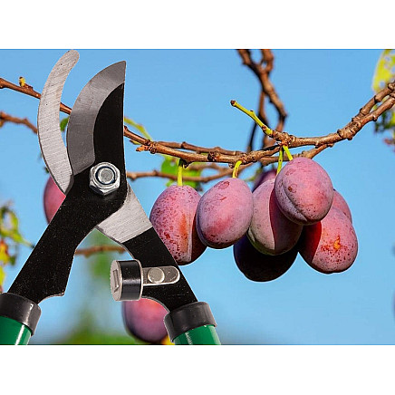 Hand pruner for shrub branches long anvil pruner