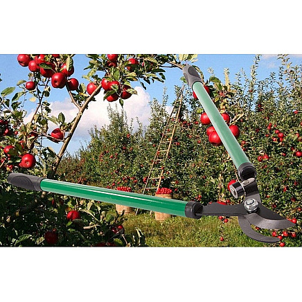 Hand pruner for shrub branches long anvil pruner