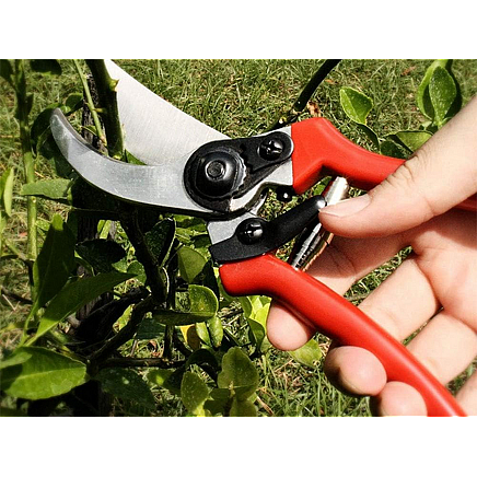 Garden hand pruner shrub pruning shears forged steel