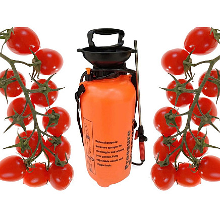 Pressure sprayer garden hand sprayer long lance 10l belt