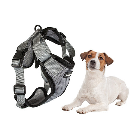 Harness for dog walk light soft strong L