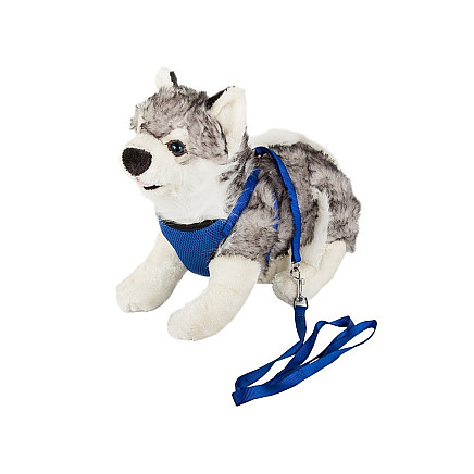 Leash with braces harness lightweight for dog cat strong
