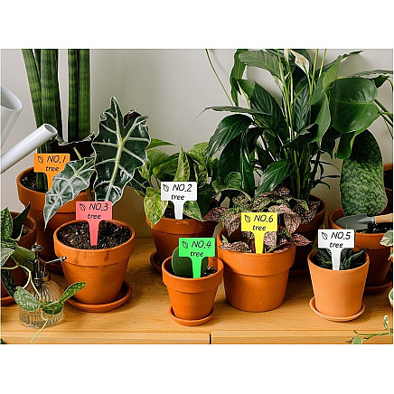 Plant description labels seeds characteristics 50pcs