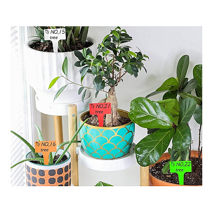 Plant description labels seeds characteristics 50pcs