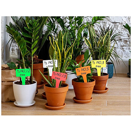 Plant description labels seeds characteristics 50pcs