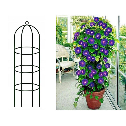 Dārza pergola kāpjošiem augiem un rozēm 190 cm, zaļa