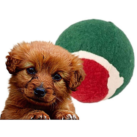 Set of dog toys dog chews tugger 4 pcs mix gift toy christmas