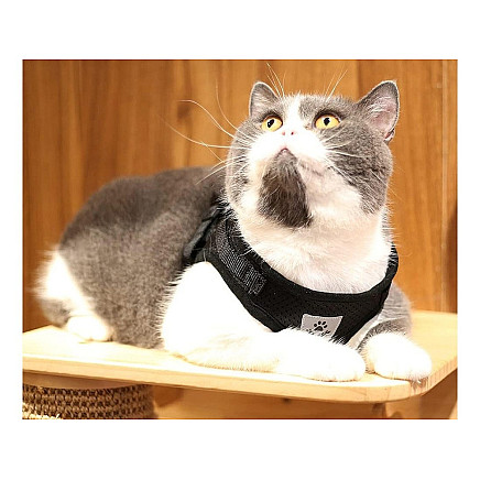 Soft soft strong reflector xs pressureless walking harness for dog cat rabbit soft strong reflector xs