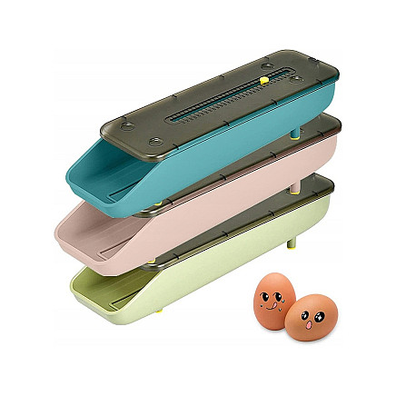 Container egg box fridge organiser egg tray