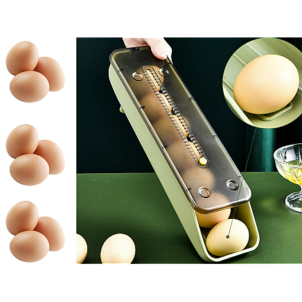 Container egg box fridge organiser egg tray