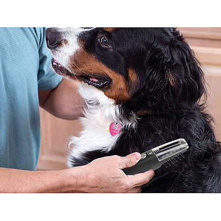 Electric hair comb brush for dog cat animal hair