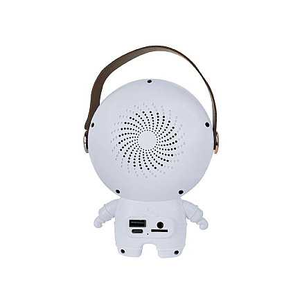 Pārnēsājams karaoke komplekts ar 2 bezvadu mikrofoniem un Bluetooth skaļruni