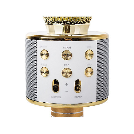 Wireless microphone bluetooth karaoke speaker round with case various modes