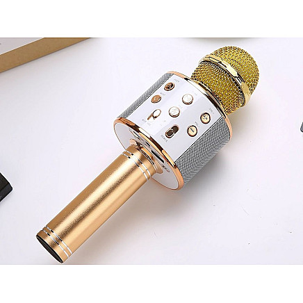 Wireless microphone bluetooth karaoke speaker round with case various modes