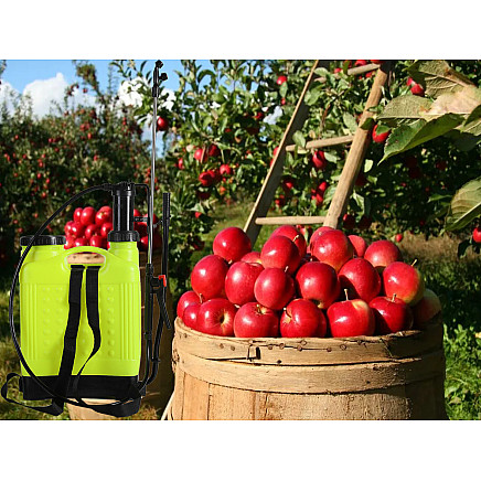 Backpack pressure sprayer garden hand sprayer lance 12l