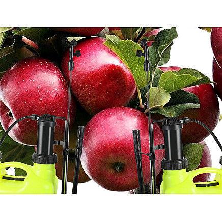 Backpack pressure sprayer garden hand sprayer lance 12l