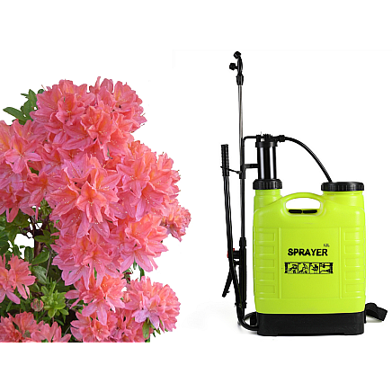 Backpack pressure sprayer garden hand sprayer lance 12l