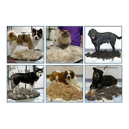 Trymer brush for animals dog cat horse 10cm