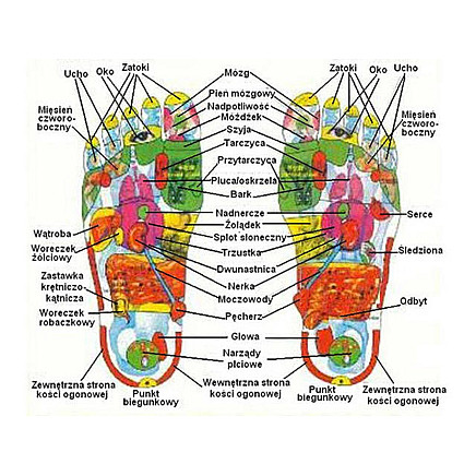 KINOKI DETOX Speciāls Bioplāksteris toksīnu izvadīšanai no organisma