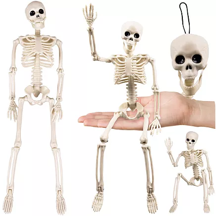 Skeleton - decoration 40cm Ruhhy 26027