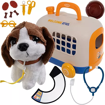 Little vet set with carrier