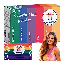 Holi Color Powder Set 6x100g Holi Cow 27335
