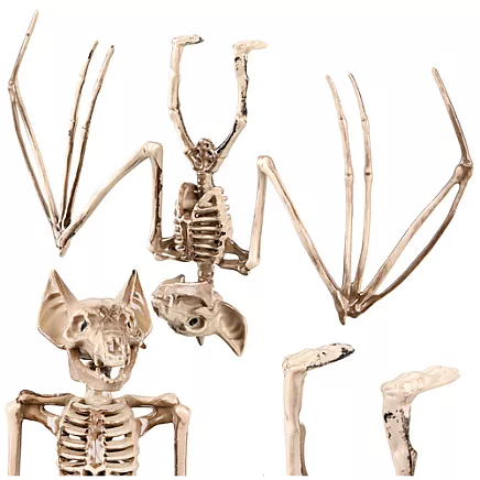 Bat skeleton - decoration 30cm Glimz