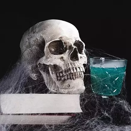 Artificial spider web + 2 spiders Malatec 19759