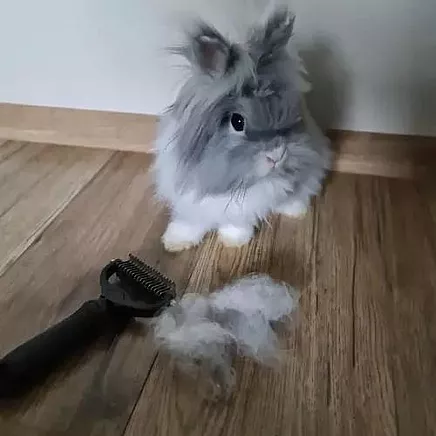 Purlov 20427 Divpusēja Pavlānas Ķemme Suņiem un Kaķiem, Trimmeris