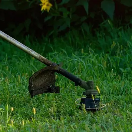 Cutting line for Bigstreen 21073 petrol brushcutter