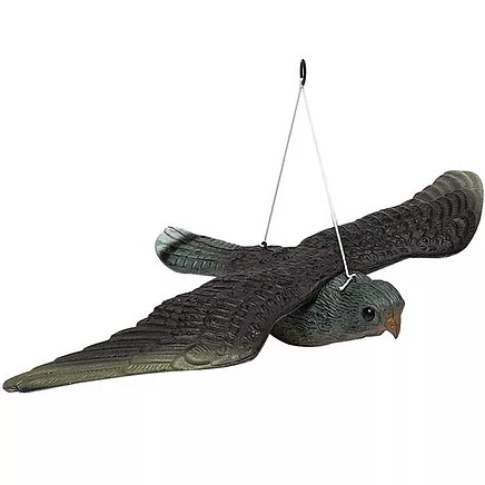 Atbaidītājs Pret Putniem