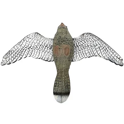 Atbaidītājs Pret Putniem