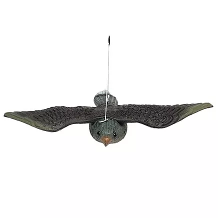 Atbaidītājs Pret Putniem