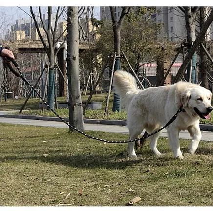 Atstarojoša Suņu Mācību Pavada Siksna 3m Purlov 21654