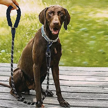 Светоотражающий сверхпрочный поводок для собак длиной 5 м с удобной ручкой из пенопласта и дозатором для мешка для мусора для крупных собак