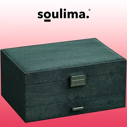 Juvelierizstrādājumu Organizators Bižutērijas Rotaslietu Uzglabāšanas Kaste Lāde,...