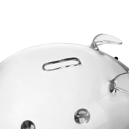 Caurspīdīga stikla krājkasīte cūciņa Ruhhy 22588