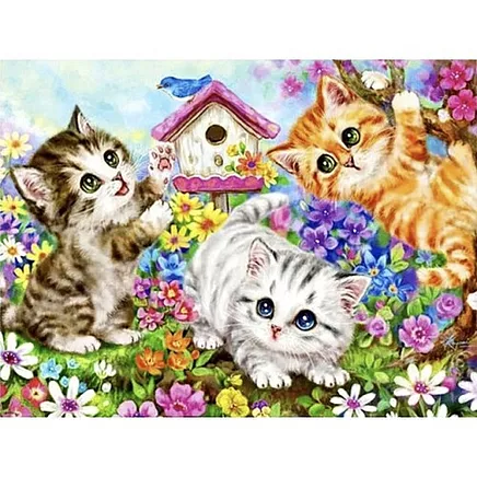 Painting by numbers 40x50cm - cats Maaleo 22781