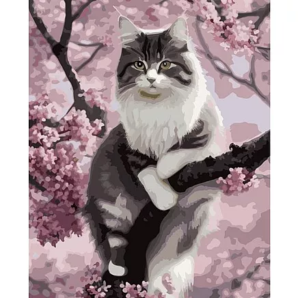 Gleznošana pēc numuriem 40x50cm Kaķis Maaleo 22783