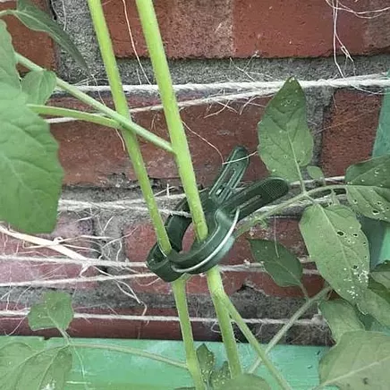 Clips - plant pins - 108 pcs. Gardlov 22586