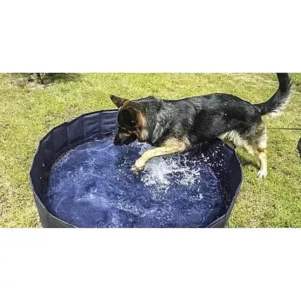 Folding dog pool/pen 120x30 Purlov 23831