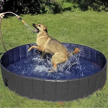Folding dog pool/pen 120x30 Purlov 23831