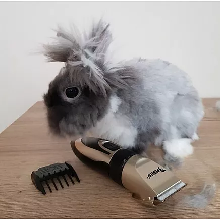 Dog clipper - Purlov 24089 set