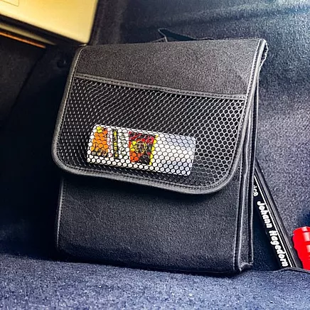 Xtrobb 24808 trunk organizer