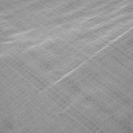 Ūdensnecaurlaidīgs brezents 4x5m Gardlov 24653, sudraba