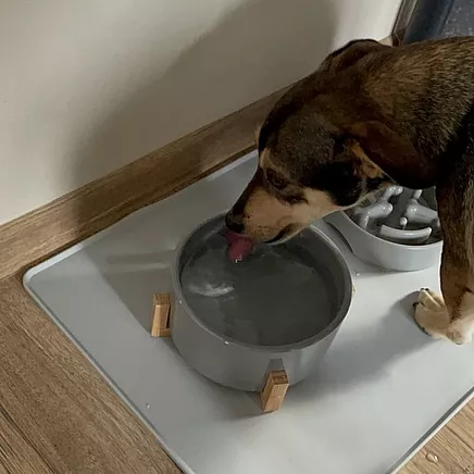 Silicone bowl pad Purlov 24295