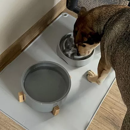 Silicone bowl pad Purlov 24295